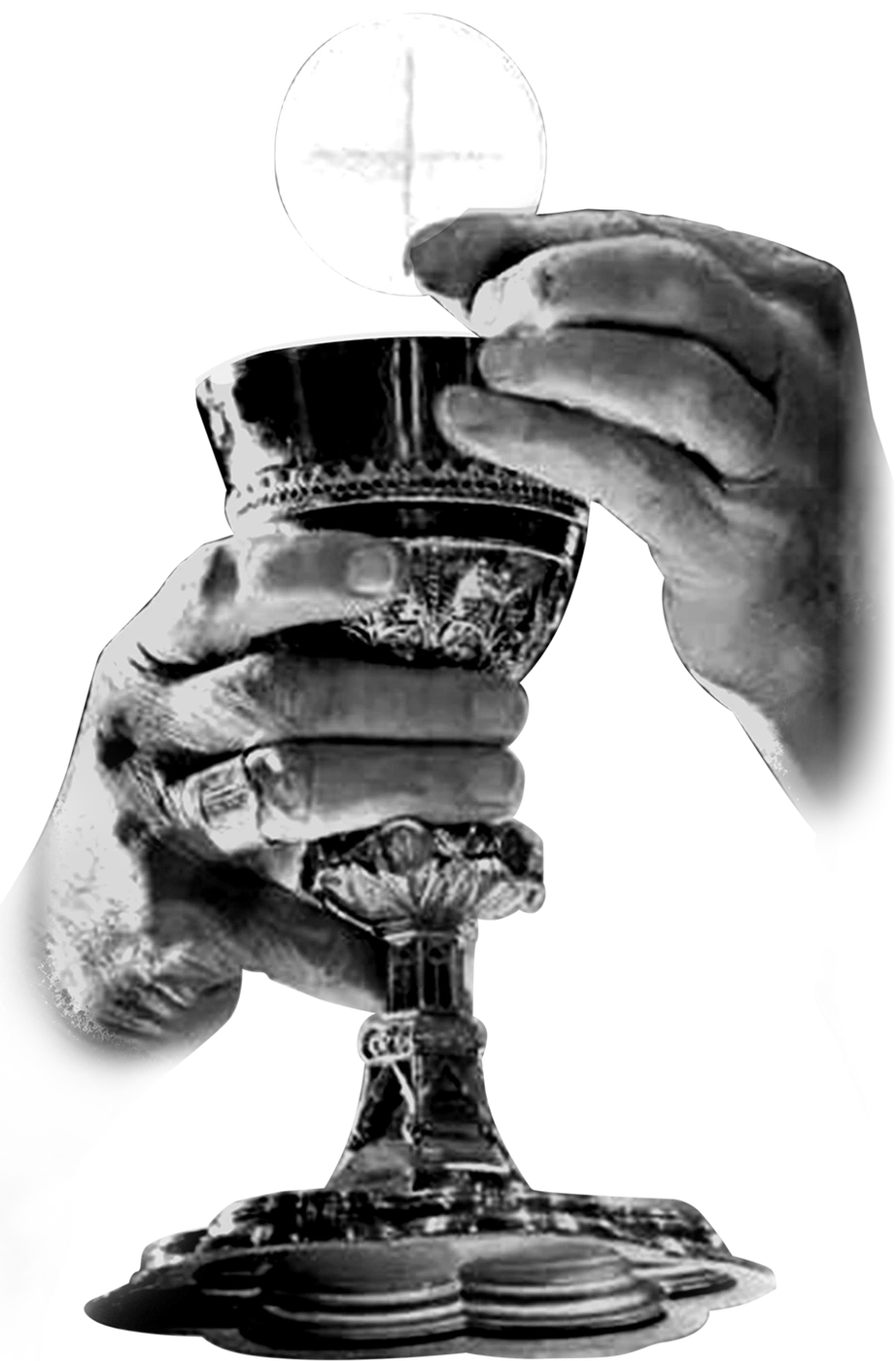 Hands lifting the host over a chalice, from the print on the back of the shirt.