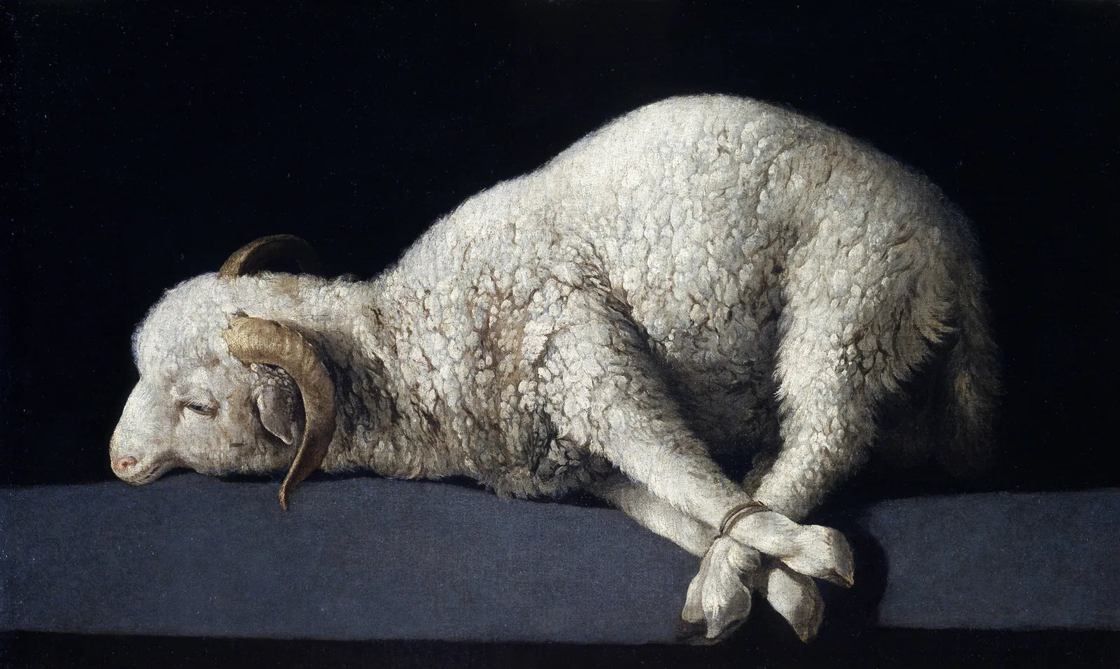 Zurbarán’s Agnus Dei: a white lamb with its feet bound, lying on a stone ledge against a dark background.
